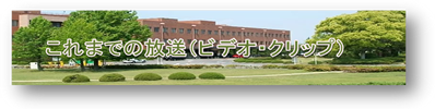 Rio Yamase Home Page
